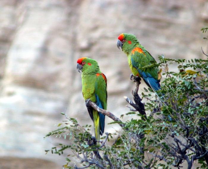 Bolivia