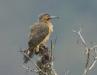 Central Peru
