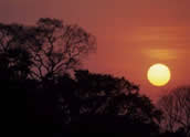 Pantanal Sunset, Hernan Rodriguez Goni